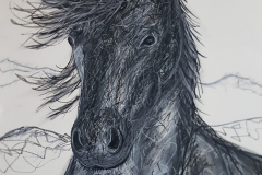 Zeichnung wildes Pferd
