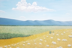 Painting Livno field