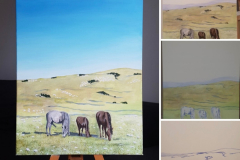 Livno wild Horses Painting
